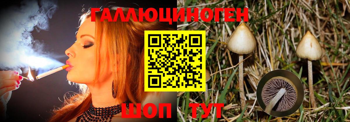 Ковров  наркошоп  Вход с VPN  Псилоцибиновые грибы Psilocybe 