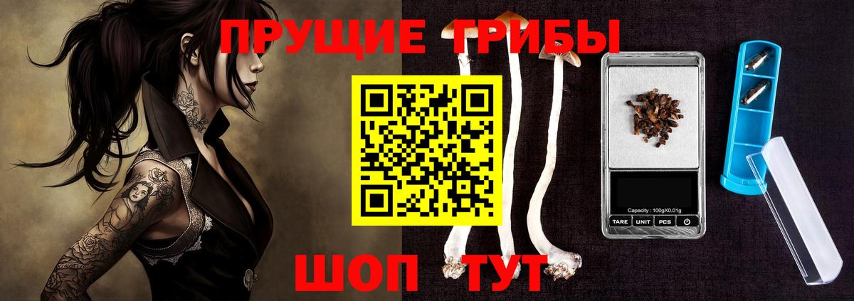 Галлюциногенные грибы Psilocybine cubensis Ковров